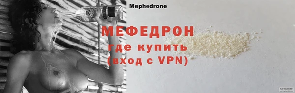 индика Няндома