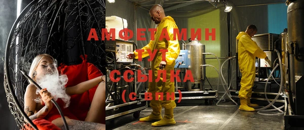 индика Няндома
