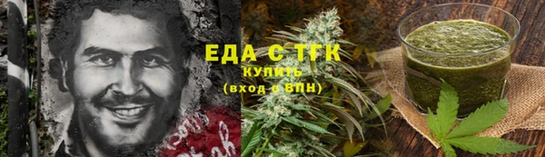 индика Няндома