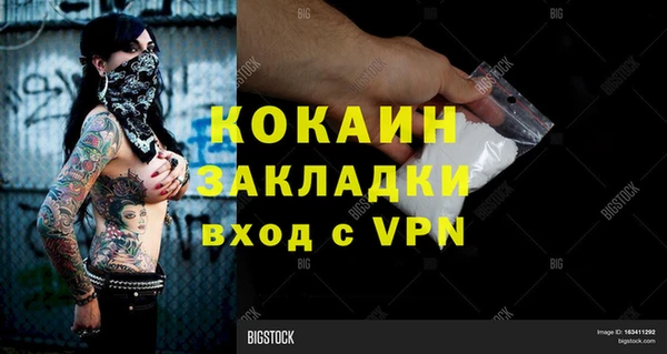 индика Няндома