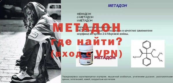 индика Няндома