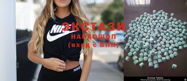 индика Няндома