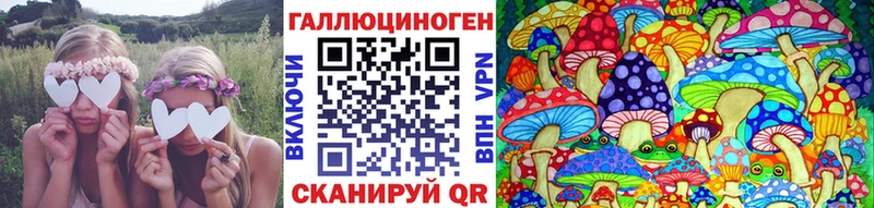 Галлюциногенные грибы Psilocybine cubensis  Ревда 